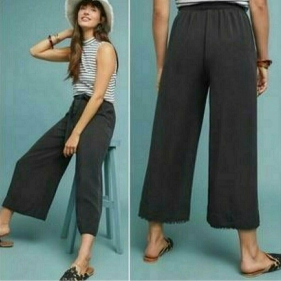 Cloth & Stone Charcoal Gray High Waisted Wide Leg Cropped Pants XS - Picture 1 of 9